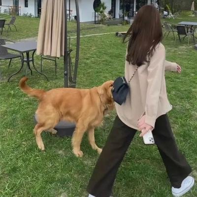联邦调查局第三季